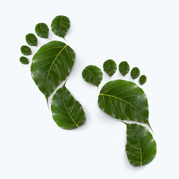 Grüne Blätter in Form von Fußabdrücken, symbolisieren Nachhaltigkeit und Umweltbewusstsein.