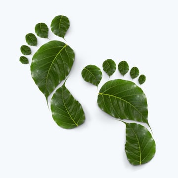 Grüne Blätter in Form von Fußabdrücken, symbolisieren Nachhaltigkeit und Umweltbewusstsein.